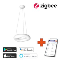 Умный потолочный светильник 60 см, 40 Вт, белый (Zigbee) цена и информация | Потолочные светильники | kaup24.ee