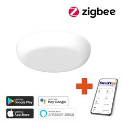 Nutikas kärglamp 18cm 24W valge (Zigbee) цена и информация | Потолочные светильники | kaup24.ee