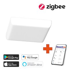 Умный потолочный светильник 18 см, 24 Вт, белый (Zigbee) цена и информация | Потолочные светильники | kaup24.ee