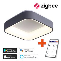 Nutikas kärglamp 45cm 36W must (Zigbee) hind ja info | Laelambid | kaup24.ee