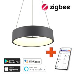 Умный потолочный светильник 60 см, 39 Вт, черный (Zigbee) цена и информация | Потолочные светильники | kaup24.ee