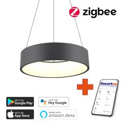 Nutikas kärglamp 60cm 39W must (Zigbee) цена и информация | Потолочные светильники | kaup24.ee