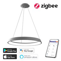 Умный потолочный светильник 60 см, 39 Вт, белый (Zigbee) цена и информация | Потолочные светильники | kaup24.ee
