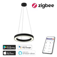 Умный потолочный светильник 60 см, 52 Вт, черный (Zigbee) цена и информация | Потолочные светильники | kaup24.ee