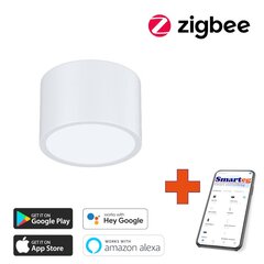 Nutikas kärglamp 15x15cm 12W valge (Zigbee) hind ja info | Laelambid | kaup24.ee