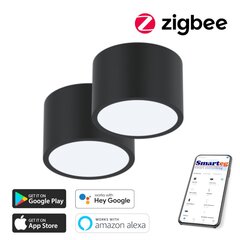 2x nutikas kärglamp 15x15cm 12W must (Zigbee) цена и информация | Потолочные светильники | kaup24.ee