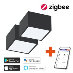 2x nutikas kärglamp 15x15cm 12W must (Zigbee) цена и информация | Потолочные светильники | kaup24.ee