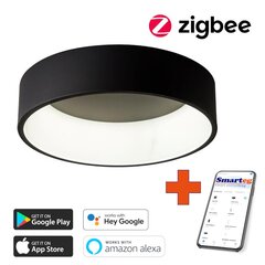 Nutikas kärglamp 60cm 39W must (Zigbee) цена и информация | Потолочные светильники | kaup24.ee