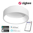 Nutikas kärglamp 45cm 30W valge (Zigbee)