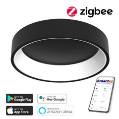 Nutikas kärglamp 60cm 39W must (Zigbee) цена и информация | Потолочные светильники | kaup24.ee