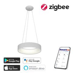 Умный потолочный светильник 45 см, 30 Вт, белый (Zigbee) цена и информация | Потолочные светильники | kaup24.ee