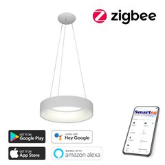 Nutikas kärglamp 60cm 39W valge (Zigbee) цена и информация | Потолочные светильники | kaup24.ee