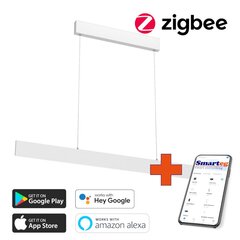 Nutikas kärglamp 118cm 18W valge (Zigbee) цена и информация | Потолочные светильники | kaup24.ee