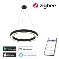 Nutikas kärglamp 95cm 66W must (Zigbee) цена и информация | Потолочные светильники | kaup24.ee