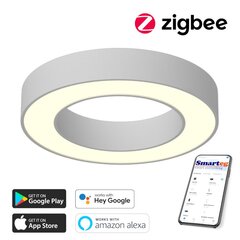 Nutikas kärglamp 60cm, 52W valge (Zigbee) цена и информация | Потолочные светильники | kaup24.ee