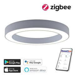 Nutikas kärglamp 95cm 66W valge (Zigbee) цена и информация | Потолочные светильники | kaup24.ee