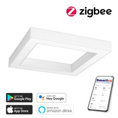 Умный потолочный светильник 80х80 см, 60 Вт, белый (Zigbee) цена и информация | Потолочные светильники | kaup24.ee