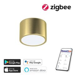Умный потолочный светильник 15 см, 12 Вт (Zigbee) цена и информация | Потолочные светильники | kaup24.ee