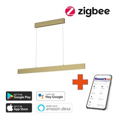 Nutikas kärglamp 118cm 18W kuld (Zigbee) цена и информация | Потолочные светильники | kaup24.ee