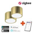 Умный потолочный светильник 15 см, 12 Вт, с пультом, 2 шт. (Zigbee)