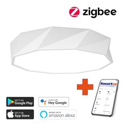 Nutikas kärglamp 60cm 43W (Zigbee) цена и информация | Потолочные светильники | kaup24.ee