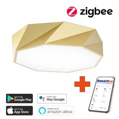 Nutikas kärglamp 40cm 31W (Zigbee) цена и информация | Потолочные светильники | kaup24.ee