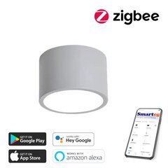 Nutikas kärglamp 15cm 12W (Zigbee) цена и информация | Потолочные светильники | kaup24.ee