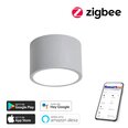 Nutikas kärglamp 15cm 12W (Zigbee)