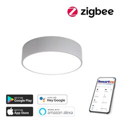 Умный потолочный светильник 60 см, 50 Вт (Zigbee) цена и информация | Потолочные светильники | kaup24.ee