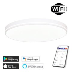 Nutikas lamp 40cm 20w valge (Wi-Fi) hind ja info | Laelambid | kaup24.ee