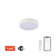 LED RGB Laevalgusti ümmargune 30cm 24w hind ja info | Laelambid | kaup24.ee