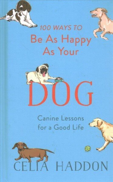 100 Ways to Be As Happy As Your Dog цена и информация | Tervislik eluviis ja toitumine | kaup24.ee