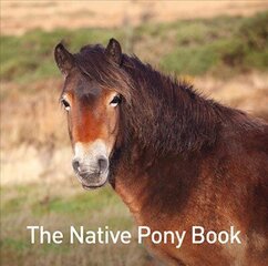 Native Pony Book цена и информация | Книги для подростков и молодежи | kaup24.ee