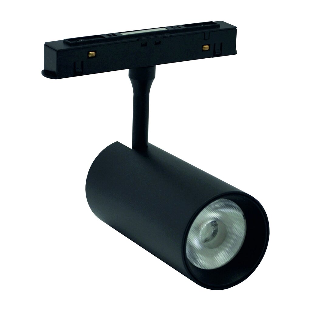 Magnetiga lamp 12W, timmitav, CCT värvimuutusega, juhitav "Tuya smart" rakenduse või kaugjuhtimispuldiga цена и информация | Rippvalgustid | kaup24.ee