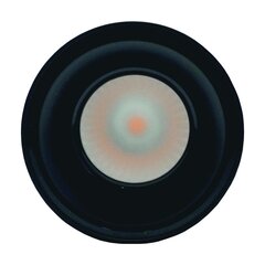 Светодиодный потолочный светильник 15Вт, 3000К, черный цена и информация | Потолочные светильники | kaup24.ee