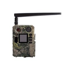 Камера наблюдения Boly Guard BG710-M цена и информация | Охотничьи принадлежности | kaup24.ee