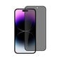 iPhone 14 Pro Max (6,7") Anti-Spy täisekraani kaitseklaas (10D) цена и информация | Ekraani kaitsekiled | kaup24.ee