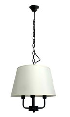 Подвесной светильник Candellux Pasteri 31-01351 цена и информация | Потолочный светильник, 38 x 38 x 24 см | kaup24.ee