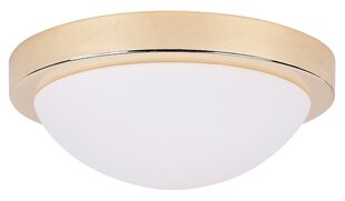 Laevalgusti Candellux 11-81926 hind ja info | Laelambid | kaup24.ee