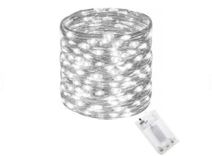 Valguskett 100-mikro Led, 10,2 m, valge, IP 44 цена и информация | Гирлянды | kaup24.ee