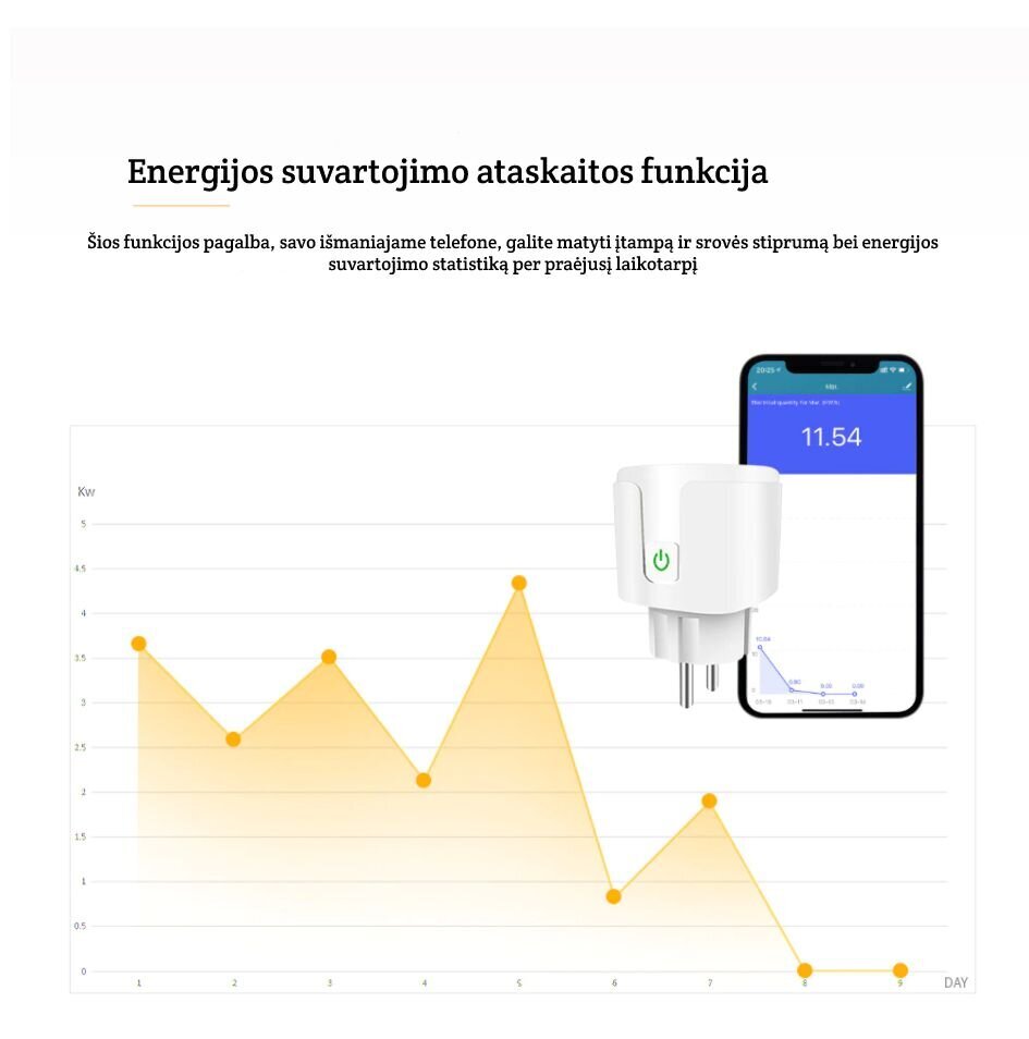 Smart Wifi 20A kontroller цена и информация | Lülitid ja pistikupesad | kaup24.ee