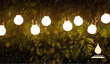 Välistuled 10LED, madalpinge LED, 7,5W, 200lm, 8m, IP44 soe valge 3000K, 208912 hind ja info | Jõulutuled | kaup24.ee
