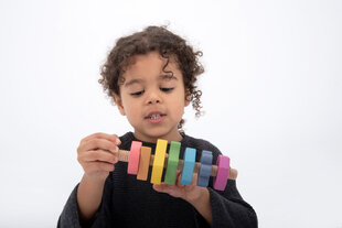 Радужный деревянный развивающий набор "Гайки и болт" - 7 штук цена и информация | Развивающие игрушки | kaup24.ee