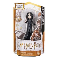 Maagiline mininukk Harry Potter цена и информация | Игрушки для девочек | kaup24.ee