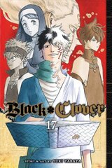 Black Clover, Vol. 17: Fall, Or Save The Kingdom hind ja info | Fantaasia, müstika | kaup24.ee