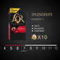 Kohvikapslid L'or Splendente, 10 tk Nespresso® kohvimasinale hind ja info | Kohv, kakao | kaup24.ee