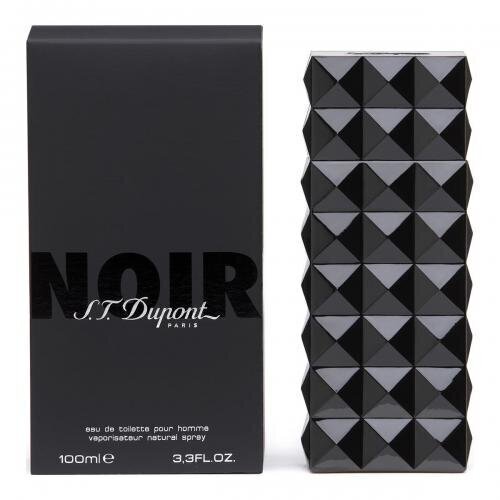 Dupont Noir EDT meestele 100 ml hind ja info | Meeste parfüümid | kaup24.ee