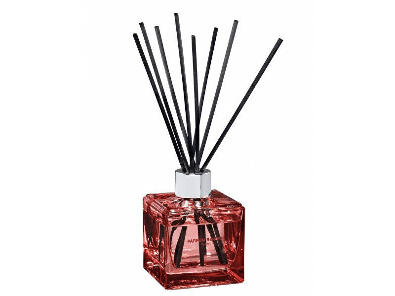 Pulkadega kodulõhn Maison Berger Paris Reed Diffuser Cube, 125ml hind ja info | Kodulõhnastajad | kaup24.ee