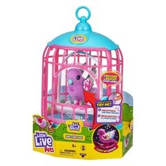 LITTLE LIVE PETS Interaktiivne komplekt lind puuriga hind ja info | Little Live pets Lapsed ja imikud | kaup24.ee