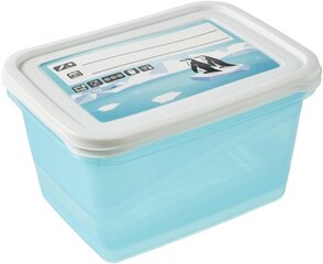 Keeeper Frozendosenset 2-osaline, ümber kirjutatud kaas, 2 x 2 l, 20,5 x 15,5 x 10,5 cm, Mia Polar, Ice Sinine läbipaistev hind ja info | Toidu säilitusnõud | kaup24.ee